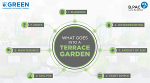 What goes into a Terrace Garden