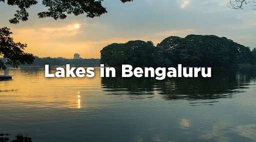 A Dive Into Bengaluru’s Lakes