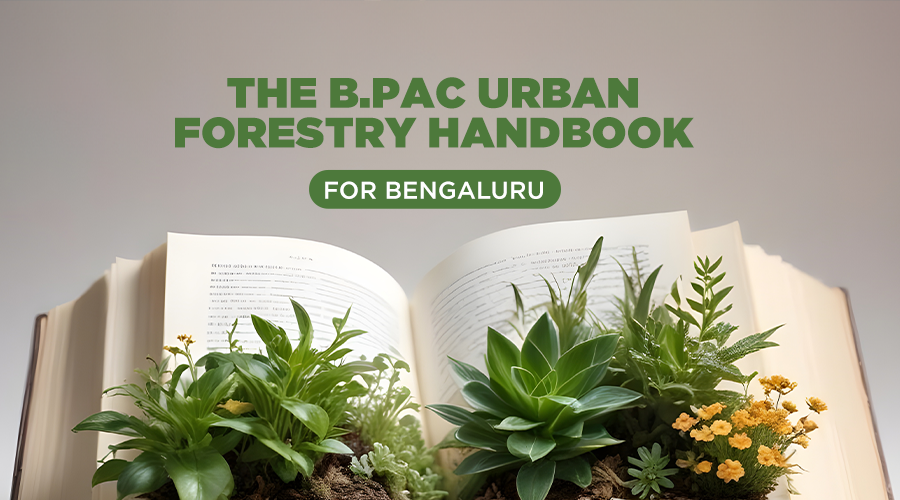 Urban Forestry in Bengaluru – BPAC Guide