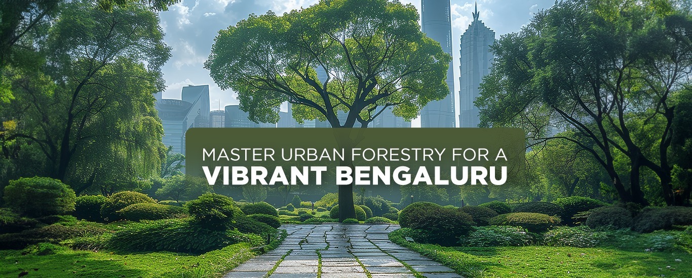 Urban Forestry in Bengaluru – BPAC Guide